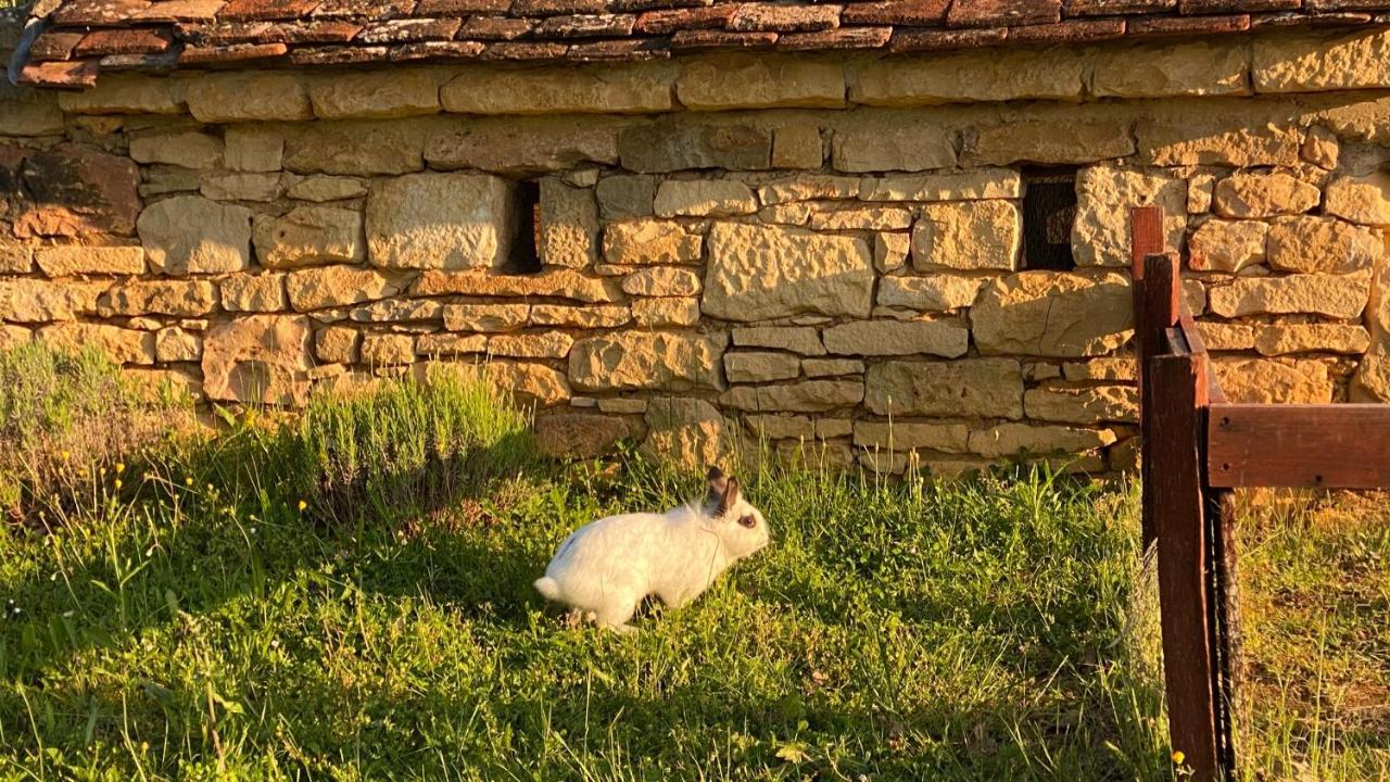 Вилла Eco-Hameau Du Sentier Des Sources Сарла-ла-Канеда Экстерьер фото